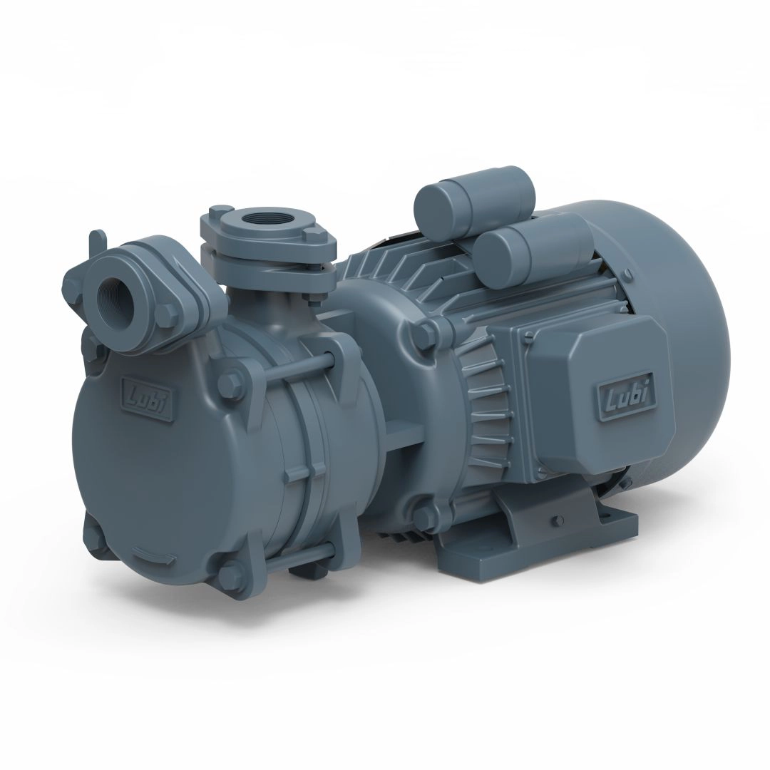 Lubi Pumps dealer in Mohali